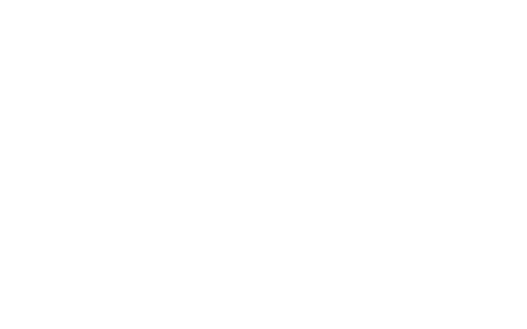 Detroit Logo